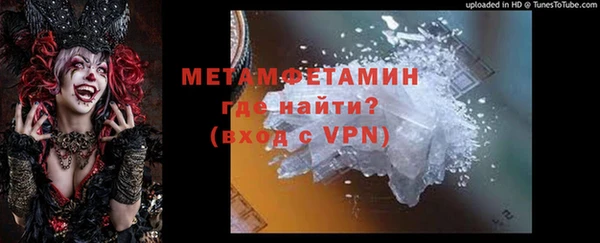 шишки Арсеньев