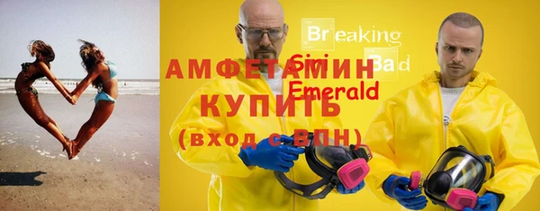шишки Арсеньев