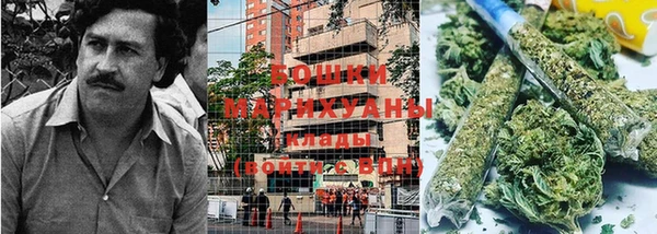 гидропоника Алексеевка