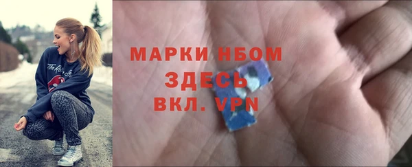 шишки Арсеньев