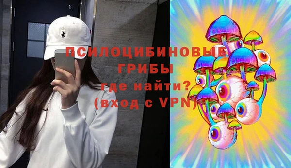молекула духа Алзамай