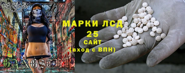 шишки Арсеньев