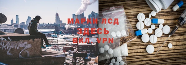 шишки Арсеньев