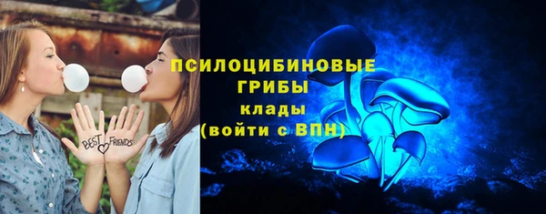 шишки Арсеньев