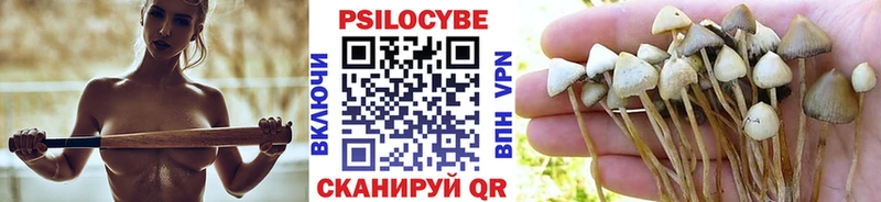 Псилоцибиновые грибы мухоморы  Аркадак 